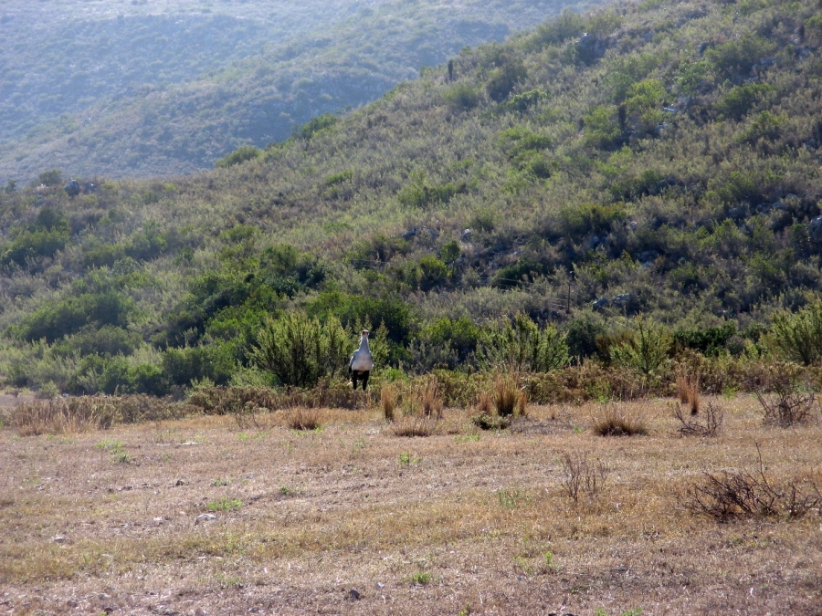 2 Bedroom Property for Sale in Swellendam Rural Western Cape